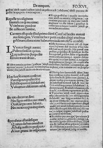 XVI r