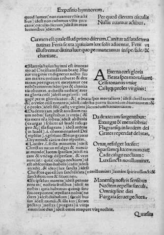 XVII v
