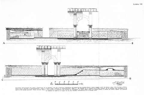 LÁMINA VII
