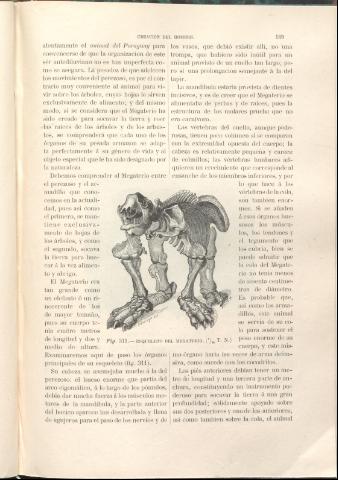 231