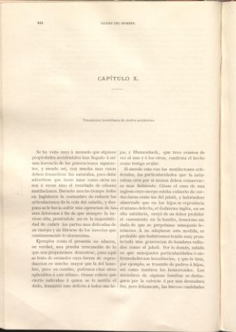 538