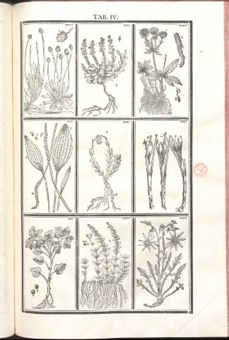 205