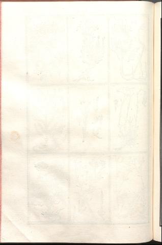 234