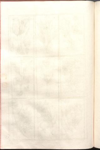 246