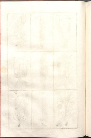 252