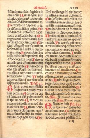 81