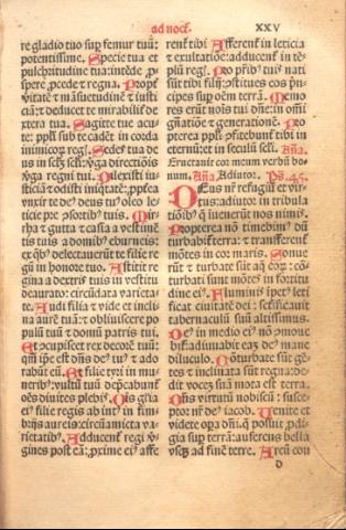 95
