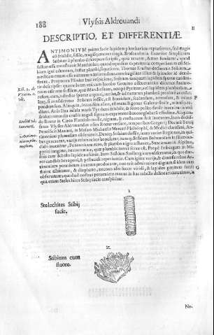 126