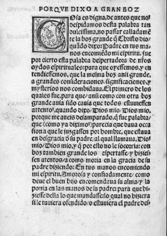 ccxxviii v