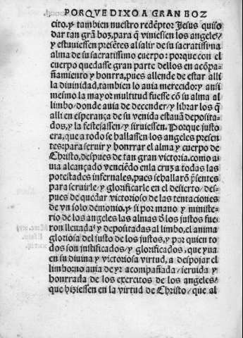 ccxxxi v