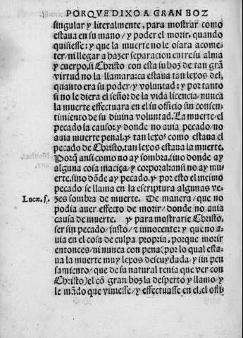 ccxxxiii v
