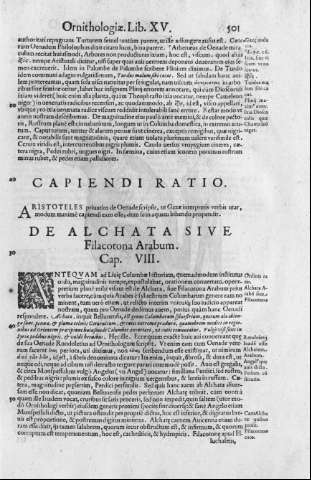 501