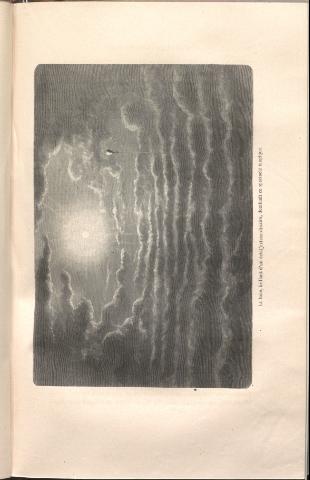317