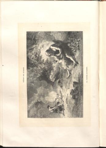 254