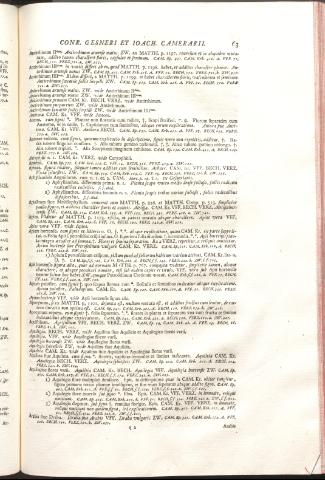 131