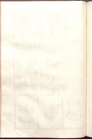 242