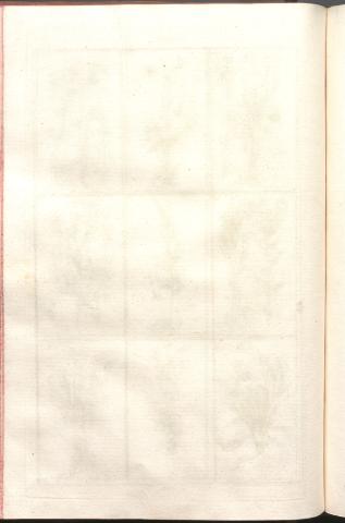 256
