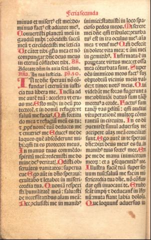 80