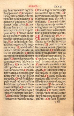 117