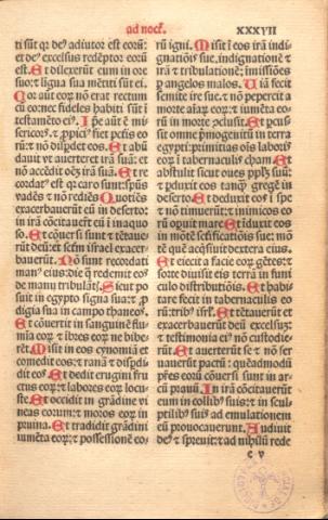 119