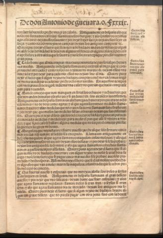 81