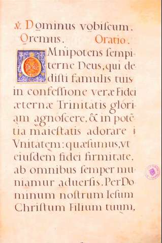 46